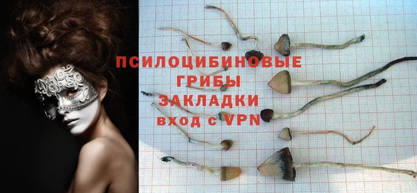 PSILOCYBIN Абдулино
