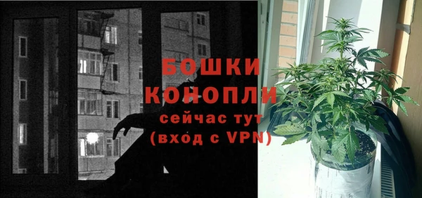 PSILOCYBIN Абдулино