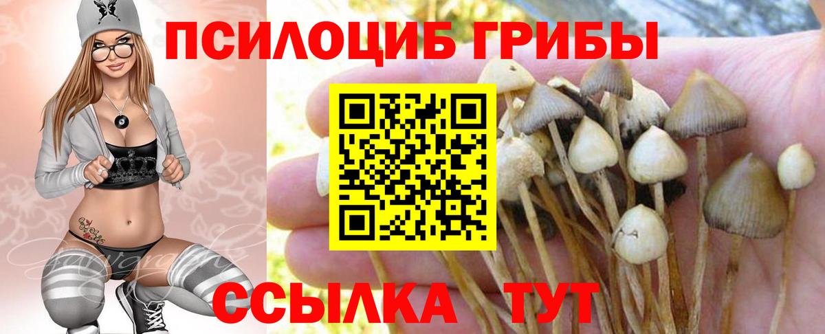 Отрадное  Галлюциногенные грибы GOLDEN TEACHER  Псилоцибиновые грибы GOLDEN TEACHER  Вход с VPN 